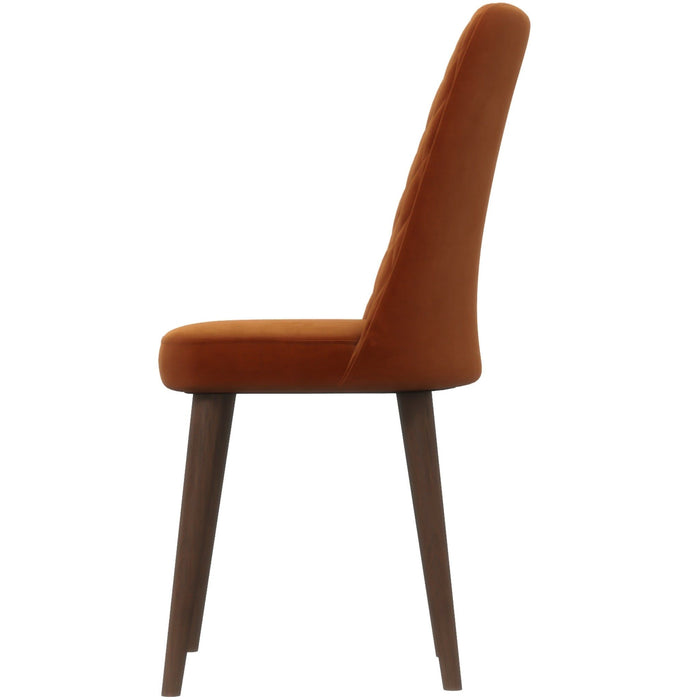 Katie - Mid-Century Modern Dining Chair (Set of 2)