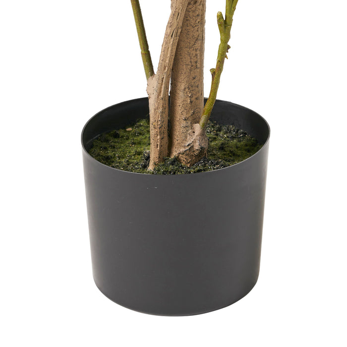 Artificial Laurel Tree