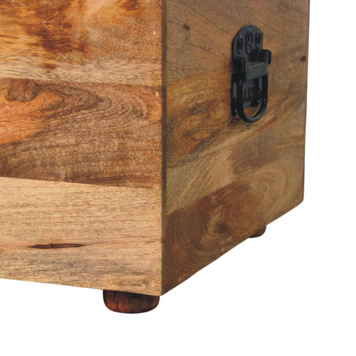 Buffalo - Leather Storage Trunk