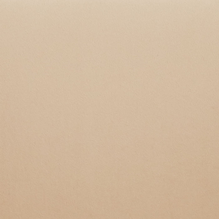 Modern Counter Stools (Set of 2)