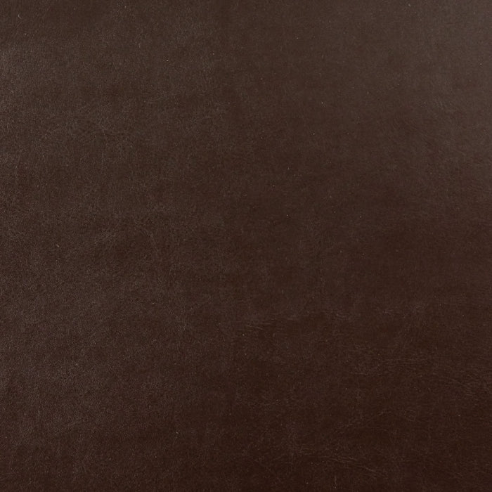 Hollister - Club Chair With Birch Legs - Brown