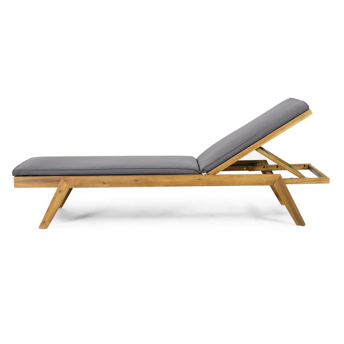 Nebulon - Outdoor Adjustable Chaise Lounge With Water Resistant Cushions (Set of 2)