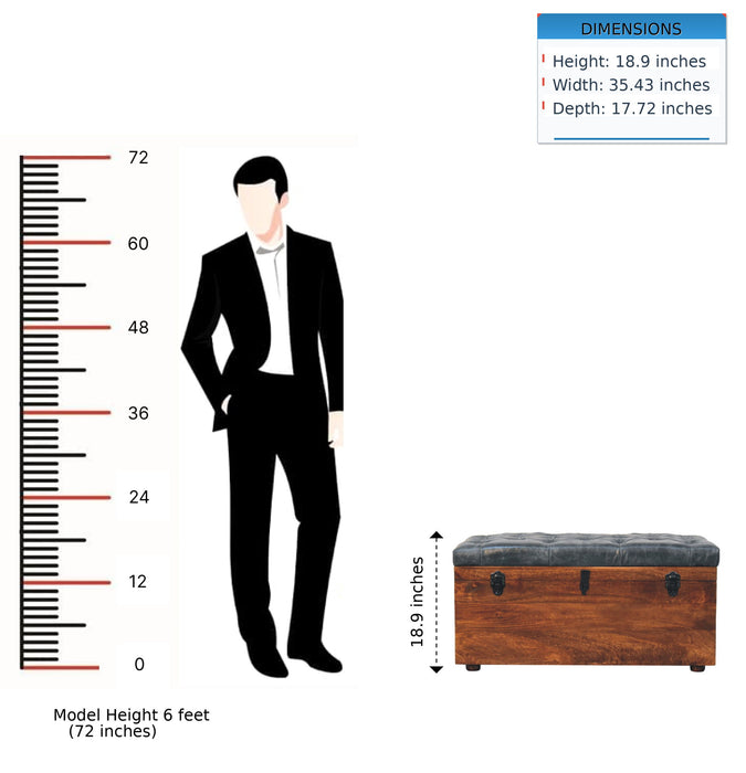 Buffalo - Leather Storage Trunk