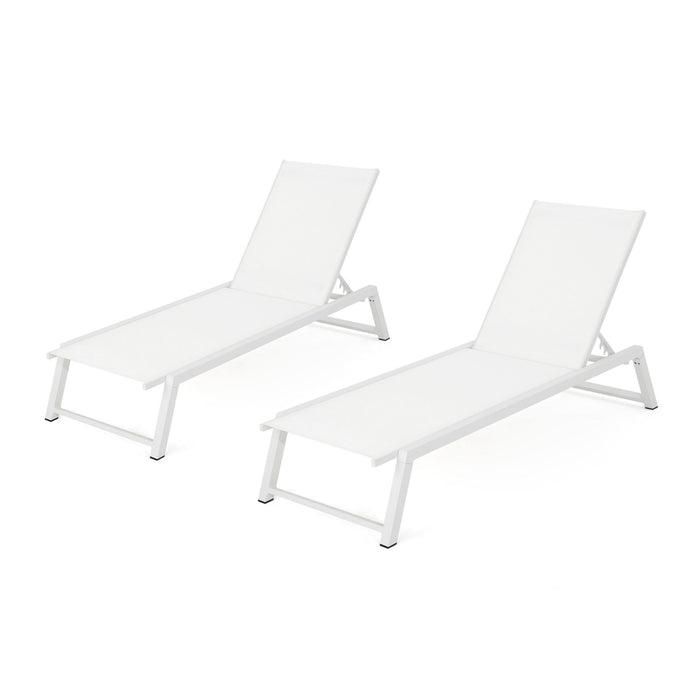 Myers - Modern Chaise Lounge Set With Adjustable Mesh Back