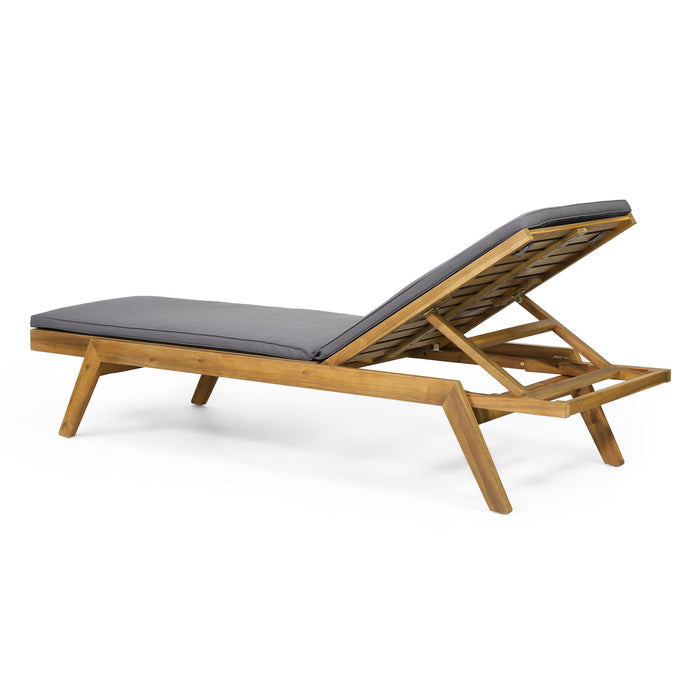 Nebulon - Outdoor Adjustable Chaise Lounge With Water Resistant Cushions (Set of 2)